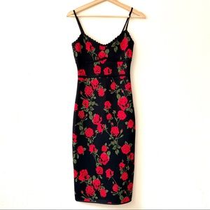 la rosa bodycon dress